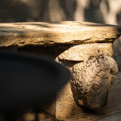 Ședințe Foto Profesionale la EkoGroup Vila – Capturați Perfecțiunea